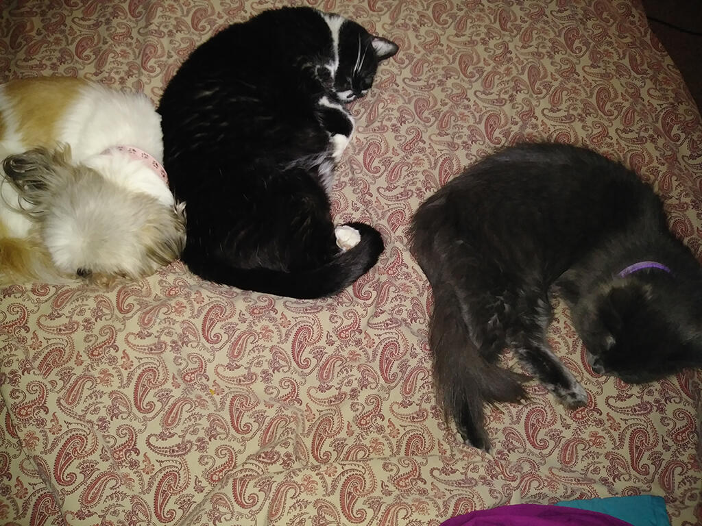 Emily sleeping with her sisters